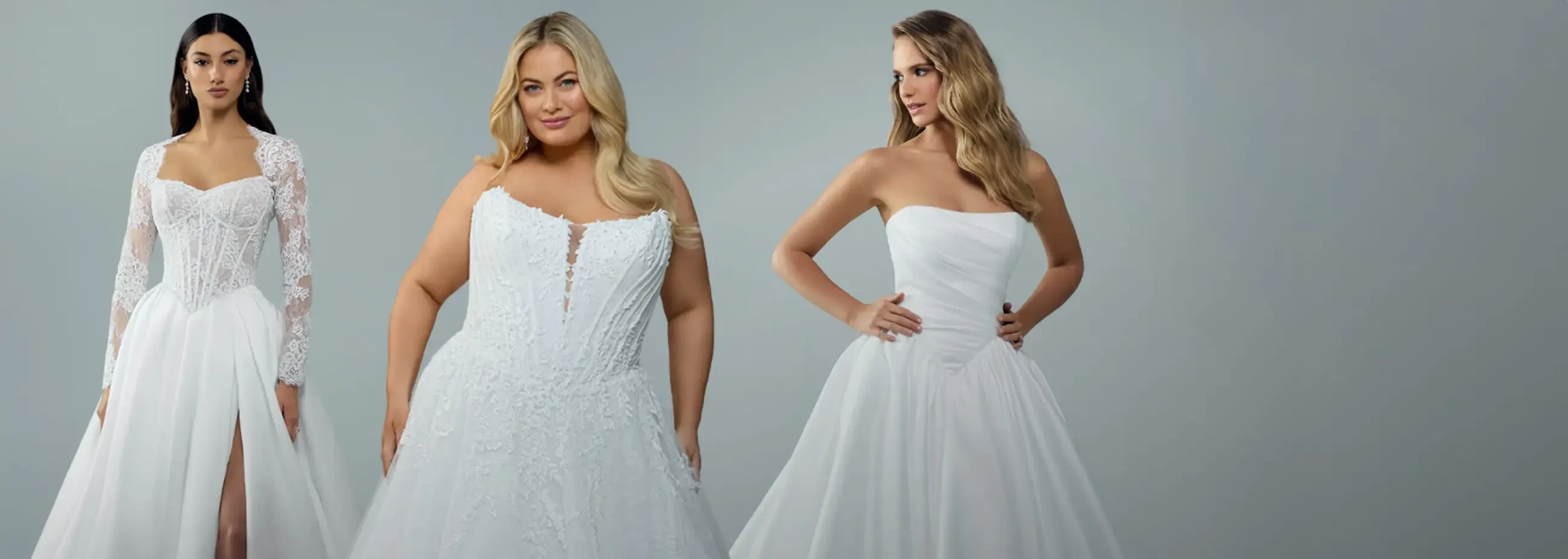 SOPHIA TOLLI