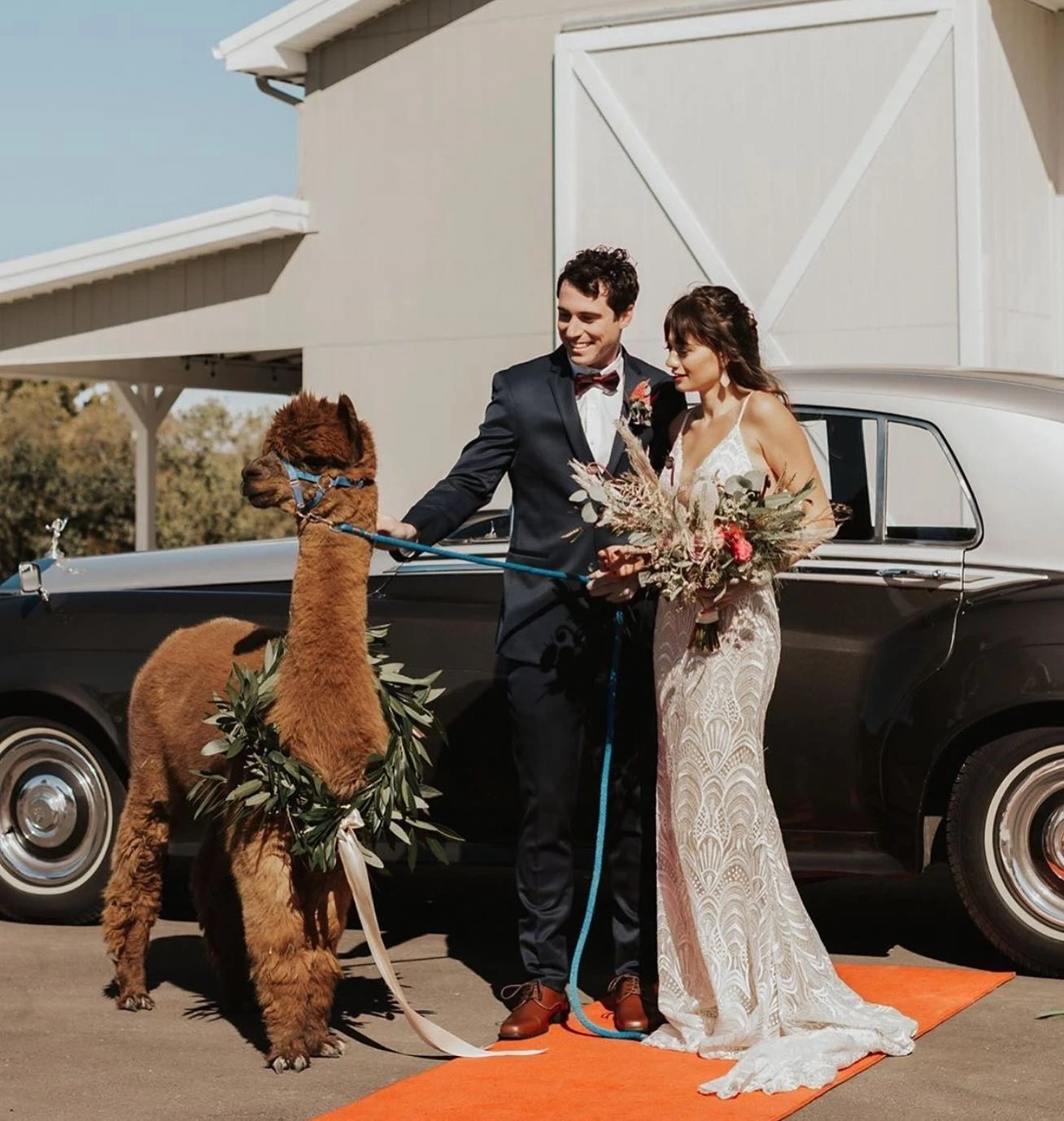 Our Brides